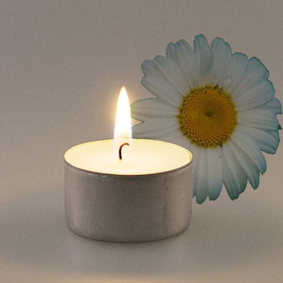 Picture of Chamomile Scented Tealights