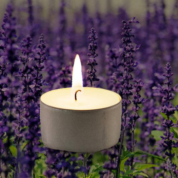 Lavender Scented Tealights