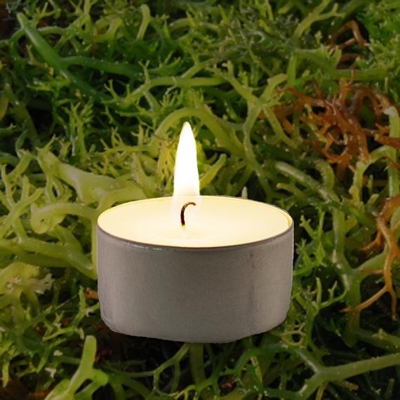 Seaweed Scented Tealights