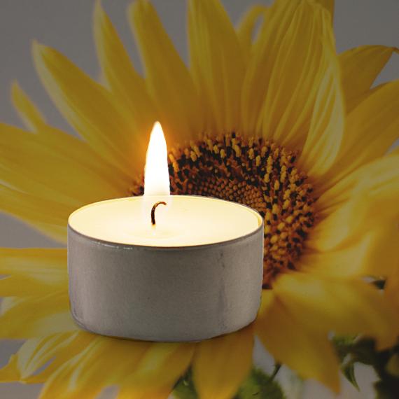 Sunflower Scented Tealights